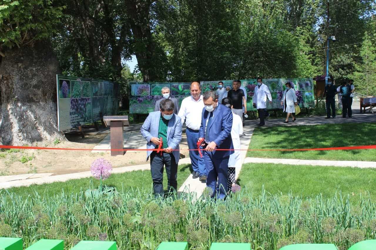 Opening of the Uzbek-Chinese onion garden in 2021