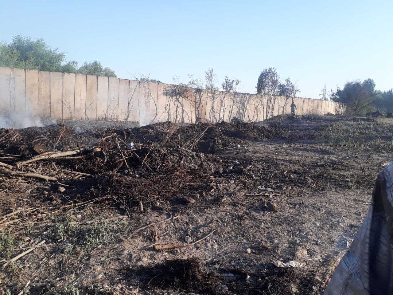 Botanika bog‘idagi yong‘in bo‘yicha rasmiy ma’lumot