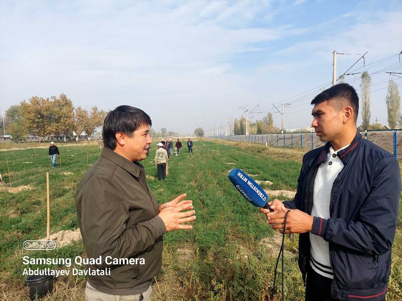 Within the national project "Green Space".